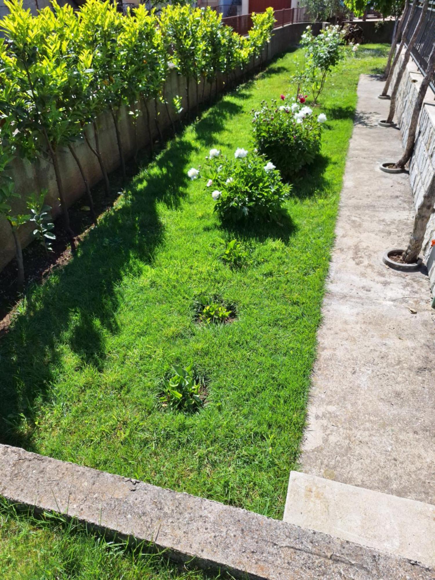 Apartment Slobo Trebinje Zewnętrze zdjęcie